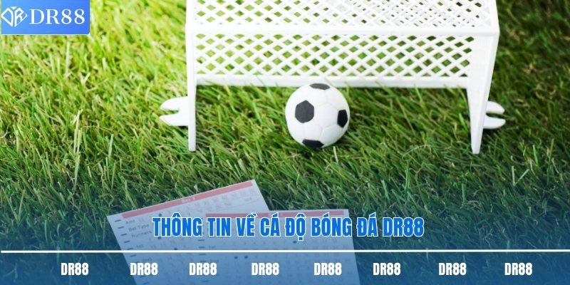 Cá Độ Bóng Đá Dr88 - Sân Chơi Uy Tín, Thỏa Mãn Đam Mê 1 Thông tin về cá độ bóng đá DR88
