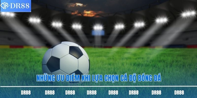 Cá Độ Bóng Đá Dr88 - Sân Chơi Uy Tín, Thỏa Mãn Đam Mê 2 Những ưu điểm khi lựa chọn cá độ bóng đá