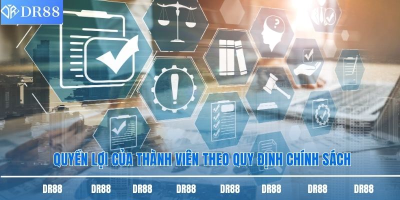 Chính Sách Bảo Mật Dr88 - Nội Dung Quan Trọng Cần Nắm 3 Quyền lợi của thành viên theo quy định chính sách